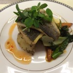 starter 2